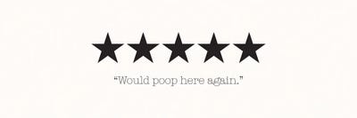 Would Poop Here Again by Nicole Basque canvas print