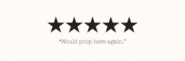 Bathroom Humor: Would Poop Here Again by Nicole Basque