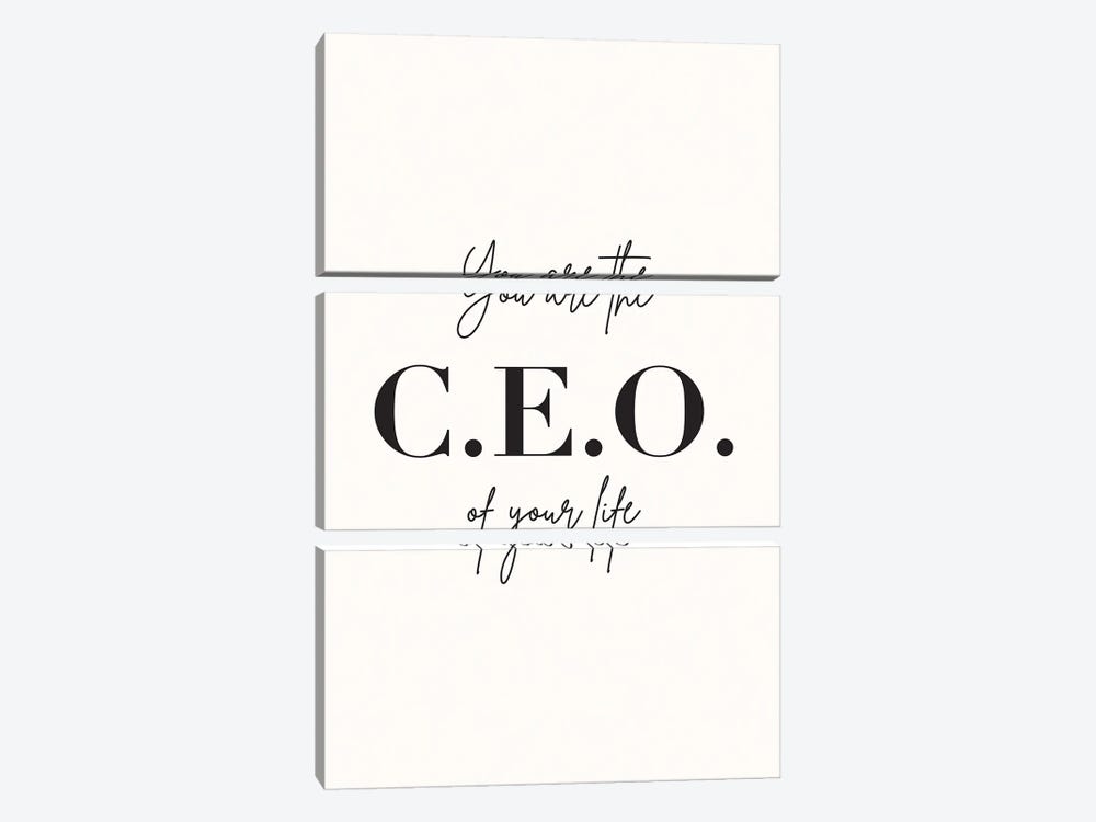 You Are The Ceo Of Your Life by Nicole Basque 3-piece Canvas Art