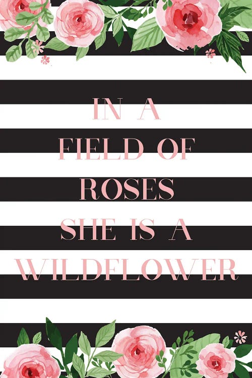 In A Field Of Roses