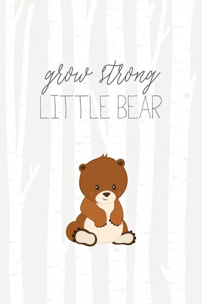 Brown Bears: Little Bear by Nicole Basque