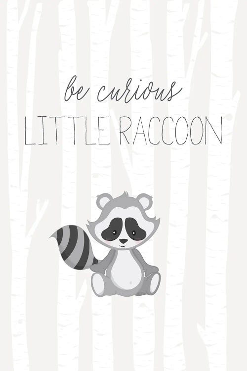 Little Raccoon