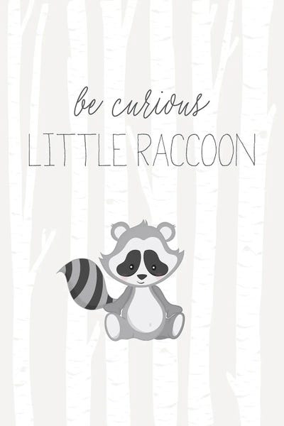 Raccoons: Little Raccoon by Nicole Basque