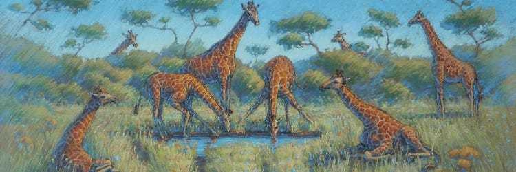 Giraffe Family