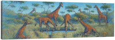 Giraffe Family Canvas Art Print - Green Art