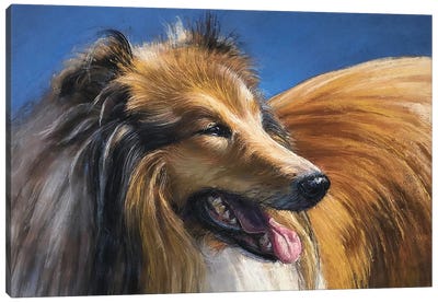 Smiling Dog Canvas Art Print - Collie Art