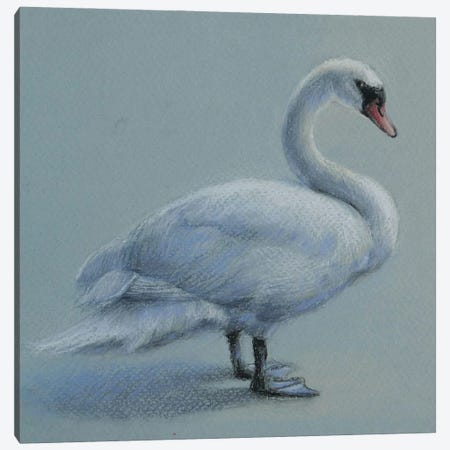 Swan Canvas Print #NBZ35} by Natalie Ayas Canvas Art Print