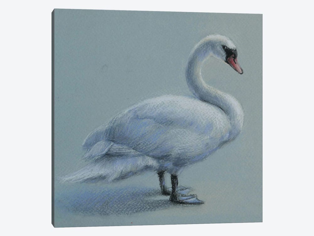 Swan by Natalie Ayas 1-piece Canvas Artwork