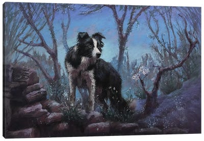 In The Woods Canvas Art Print - Australian Shepherd Art