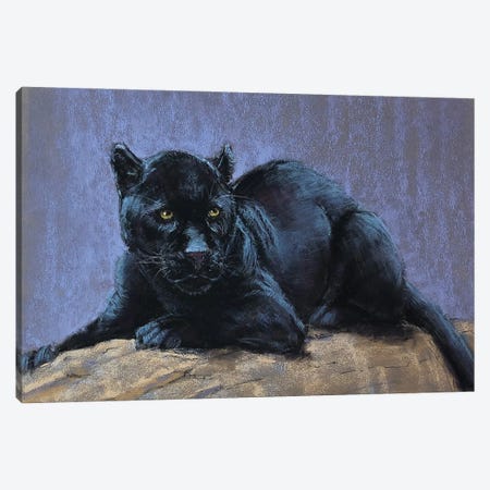 Black Panther Canvas Print #NBZ7} by Natalie Ayas Canvas Art