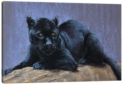 Black Panther Canvas Art Print - Natalie Ayas