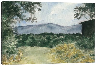 Virginia Woods III Canvas Art Print