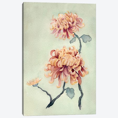 Chrysanthemum Beauty I Canvas Print #NCH1} by Natasha Chabot Art Print