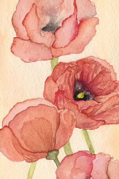 Poppies: Poppy Composition II by Natasha Chabot