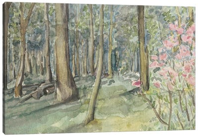 Virginia Woods I Canvas Art Print