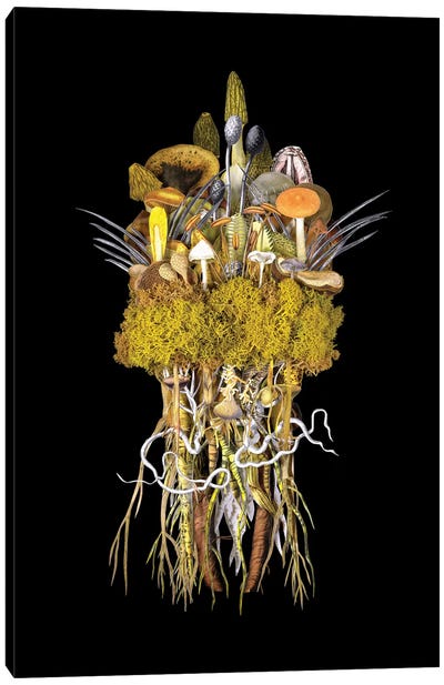 The Troupe: Sunrise Canvas Art Print - Mushroom Art