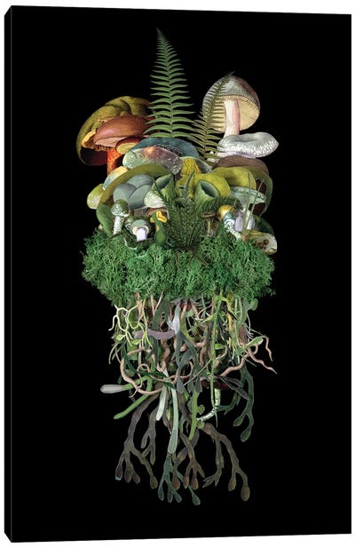 The Troupe: Spring Canvas Art Print - Mushroom Art