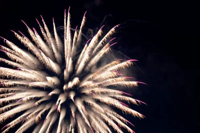 Sky Bloom by Nancy Crowell canvas print