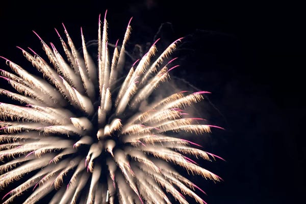 Nancy Crowell: Sky Bloom by Nancy Crowell