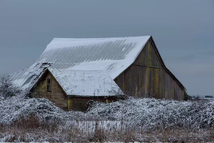 Winter Barn