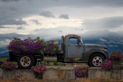 Days Gone By by Nancy Crowell framed wall art