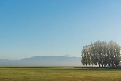 Gazing by Nancy Crowell multi panel art