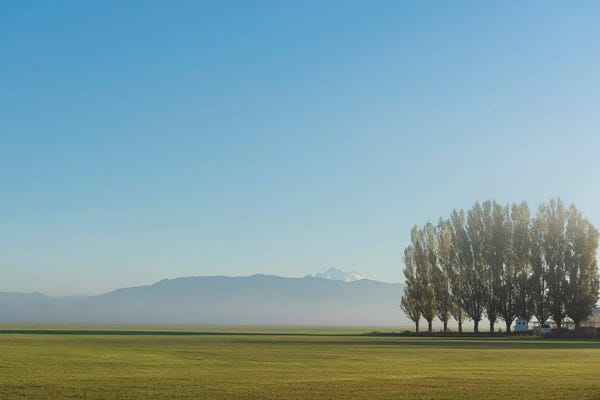 Nancy Crowell: Gazing by Nancy Crowell