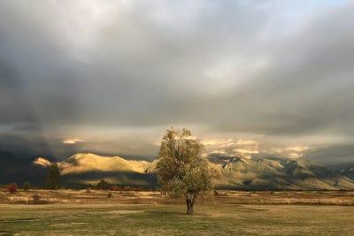 The Wait by Nancy Crowell canvas print