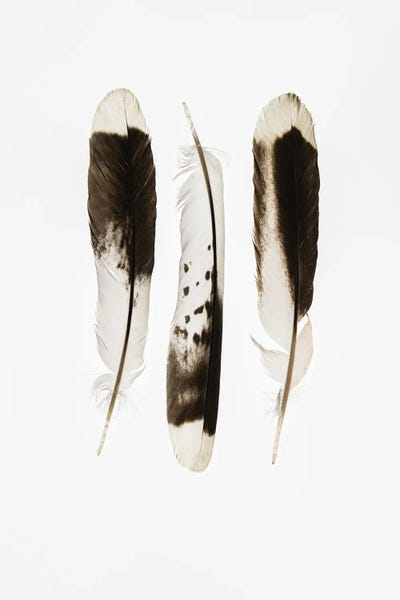 Nancy Crowell: Together by Nancy Crowell