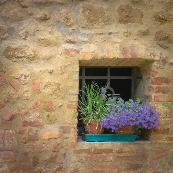 Nancy Crowell: Blossoms by Nancy Crowell