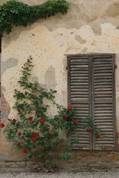 Nancy Crowell: Side By Side by Nancy Crowell