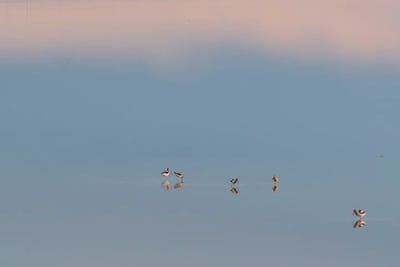 First Light I by Nancy Crowell canvas print