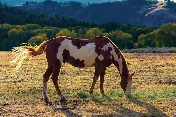 Nancy Crowell: Breakfast by Nancy Crowell