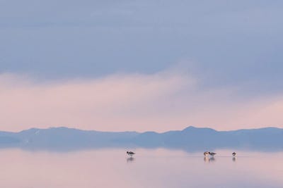 First Light II by Nancy Crowell canvas print