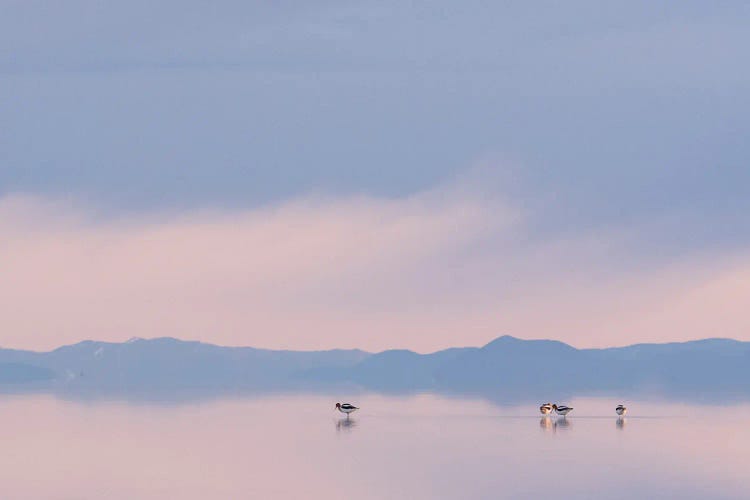 First Light II