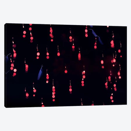 Crimson Constellation Canvas Print #NCR6} by Nancy Crowell Canvas Art Print