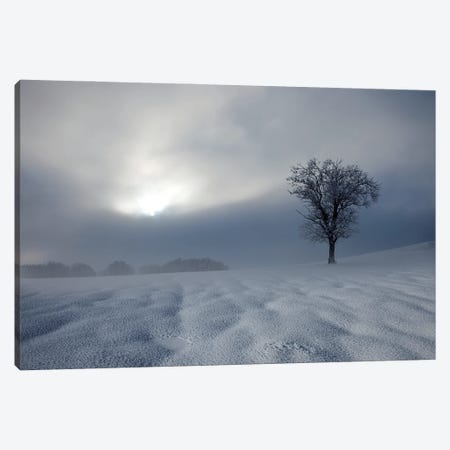 Winter Impression Canvas Print #NCS2} by Nicolas Schumacher Canvas Art Print