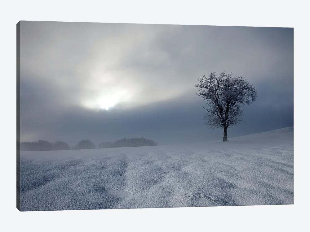 Winter Impression by Nicolas Schumacher 1-piece Art Print