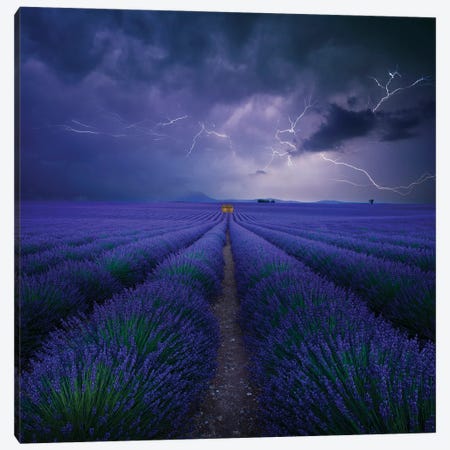 Wetter Im Lavendelfeld Canvas Print #NCS5} by Nicolas Schumacher Canvas Wall Art