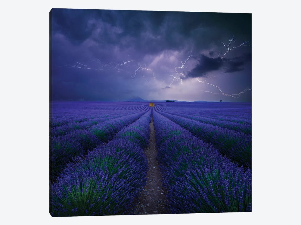 Wetter Im Lavendelfeld by Nicolas Schumacher 1-piece Canvas Art