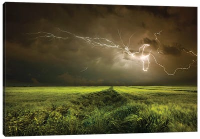 Electrically In Summer Canvas Art Print - Lightning