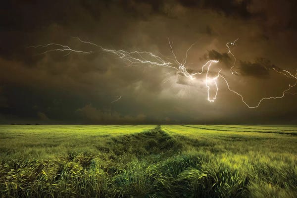 Lightning: Electrically In Summer by Nicolas Schumacher