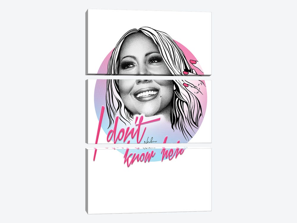 I Don't Know Her by Nordacious 3-piece Canvas Wall Art