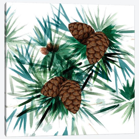 Christmas Hinterland II - Pine Cones Canvas Print #NDD112} by Noonday Design Canvas Artwork