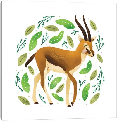 Safari Cuties Gazelle Canvas Art Print - Antelope Art