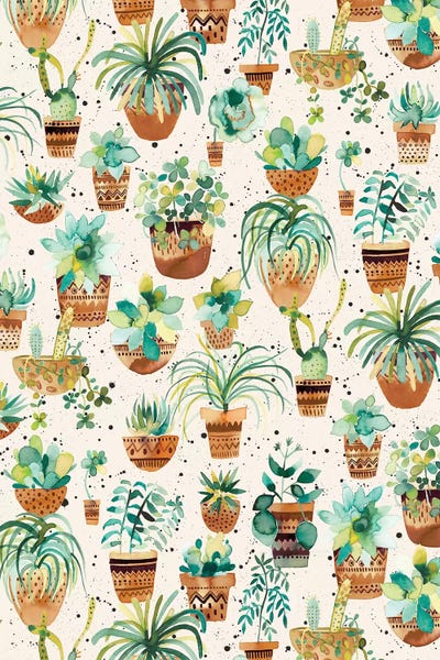 Home Succulent Plant Pots Cream by Ninola Design metal wall art