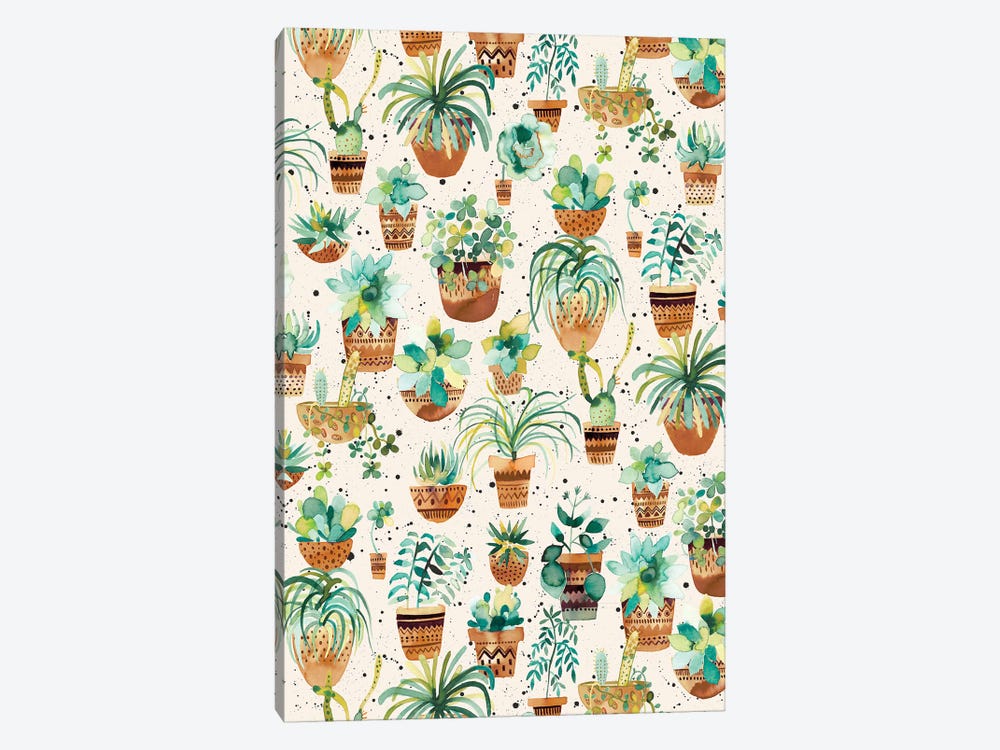 Home Succulent Plant Pots Cream by Ninola Design 1-piece Canvas Print