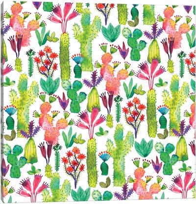 Cacti Garden Canvas Art Print - Floral & Botanical Patterns