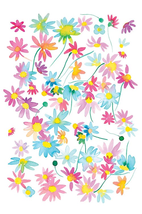 Watercolor Colorful Floral Daisies