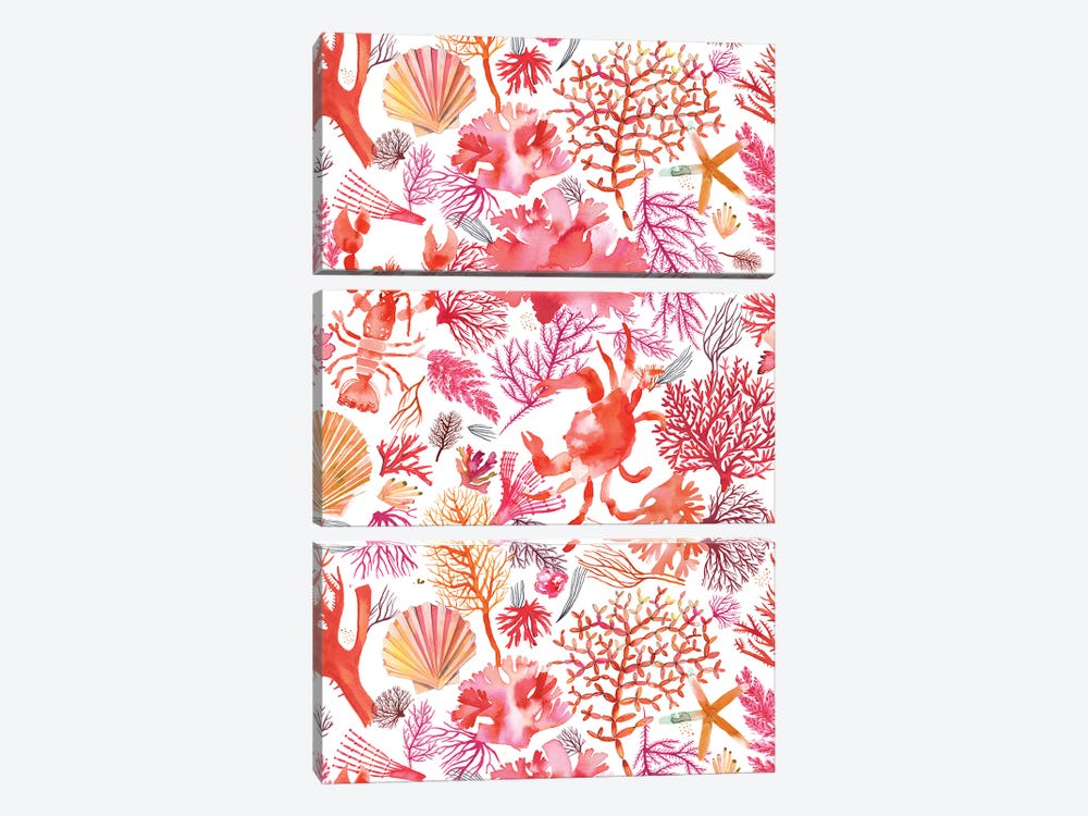 Corals Reef Crab Orange by Ninola Design 3-piece Canvas Print